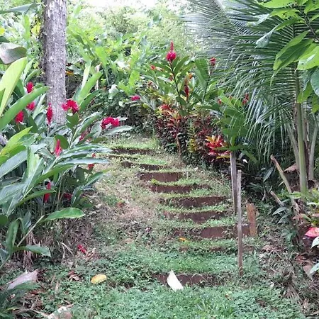 La Mariola - Finca Agroecologica El Castillo de La Concepción Exterior photo